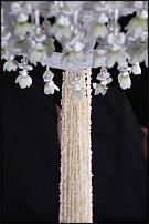 www.floristic.ru - . !!!!!