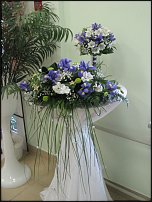 www.floristic.ru - .  .