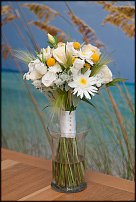 www.floristic.ru - .  .