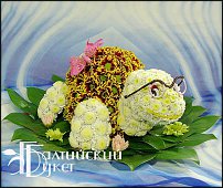 www.floristic.ru - .   ....