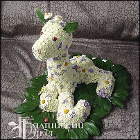 www.floristic.ru - .   ....