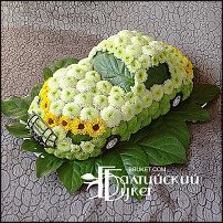 www.floristic.ru - .   ....