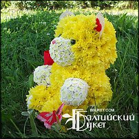 www.floristic.ru - .   ....