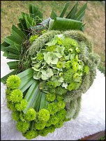 www.floristic.ru - .  .