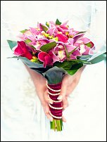 www.floristic.ru - .  .