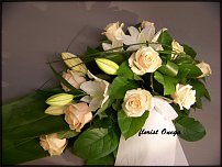 www.floristic.ru - .  