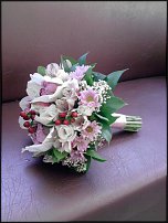 www.floristic.ru - .  