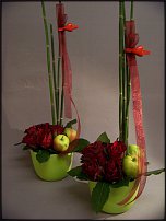 www.floristic.ru - .  