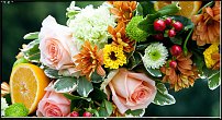 www.floristic.ru - .    