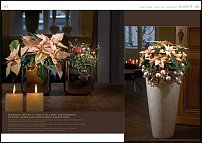 www.floristic.ru - .   