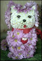 www.floristic.ru - .   ....