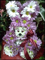 www.floristic.ru - .   ....