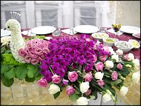 www.floristic.ru - .   ....