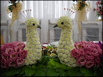 www.floristic.ru - .   ....