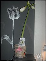 www.floristic.ru - .   .