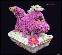 www.floristic.ru - .   ....