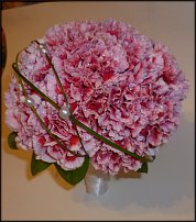 www.floristic.ru - . 