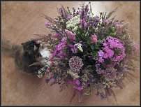 www.floristic.ru - . , !