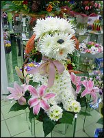 www.floristic.ru - .   ....