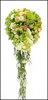 www.floristic.ru - .  