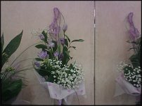 www.floristic.ru - .  