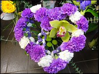 www.floristic.ru - .  