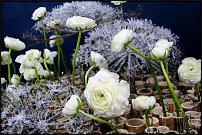 www.floristic.ru - .  , 