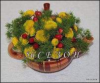 www.floristic.ru - .       ...