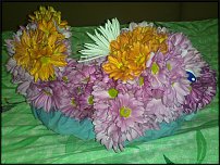 www.floristic.ru - .   ....