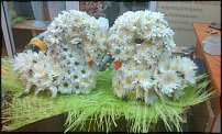 www.floristic.ru - .   ....