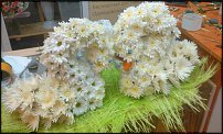 www.floristic.ru - .   ....