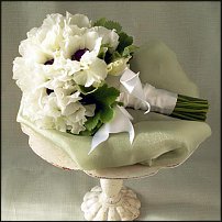 www.floristic.ru - .    