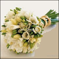 www.floristic.ru - .    