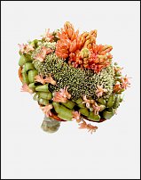 www.floristic.ru - .  