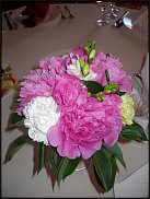 www.floristic.ru - . !!!!!