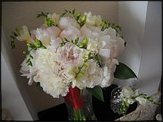 www.floristic.ru - . !!!!!