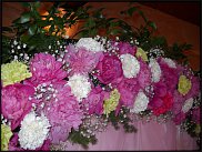 www.floristic.ru - . !!!!!