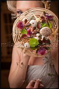 www.floristic.ru - .  . Mila Shumann.