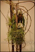 www.floristic.ru - .  . Mila Shumann.