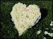 www.floristic.ru - .  .