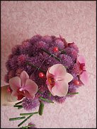 www.floristic.ru - .  .