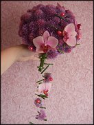 www.floristic.ru - .  .