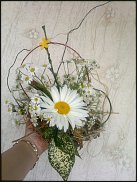 www.floristic.ru - .  