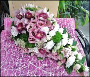 www.floristic.ru - .  .