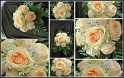 www.floristic.ru - .  .