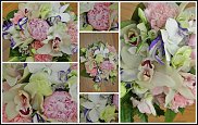 www.floristic.ru - .  .