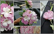 www.floristic.ru - .  .