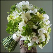 www.floristic.ru - .    