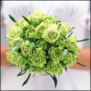 www.floristic.ru - .    