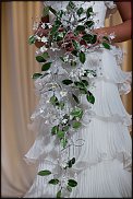 www.floristic.ru - .  ˨   .